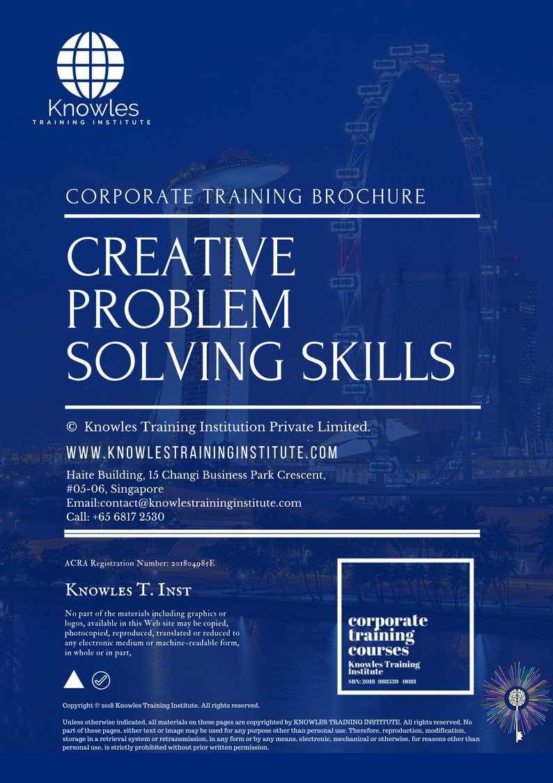 problem solving skills in nederlands